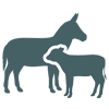 Livestock onsite
